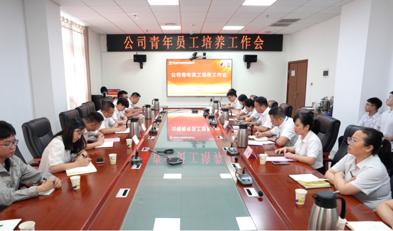 中國化學四化建召開青年員工培養工作會