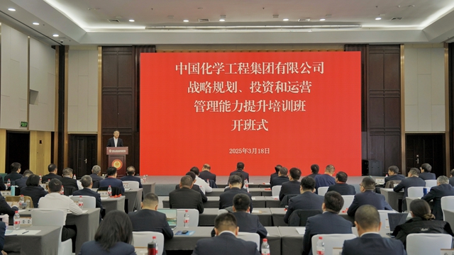 1742346228083.jpg 1742346228083.jpg